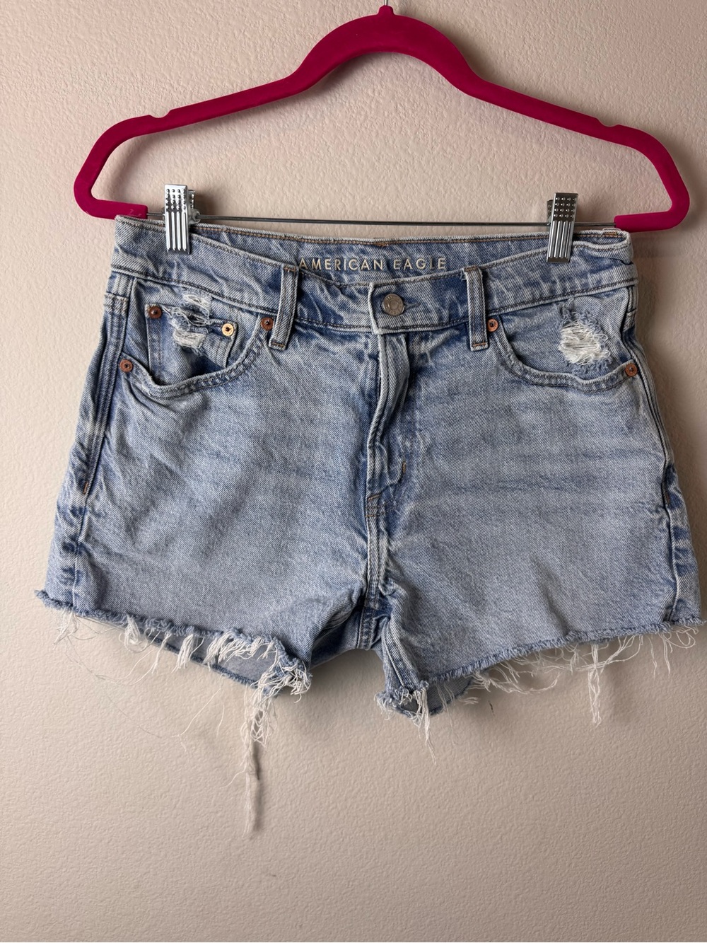 American Eagle Outfitters Light Blue Frayed Denim Cutoff Shorts